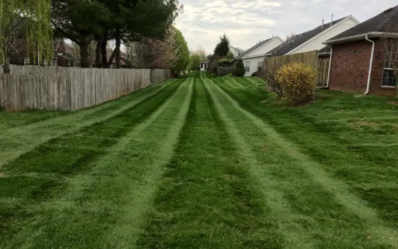 All Summer Landscape Group — Landscaper