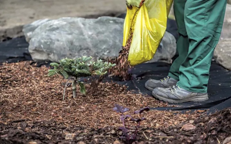 Pope's Mulch, Dirt & Sand — Mulch supplier