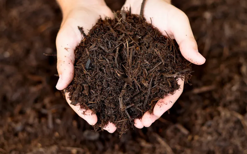 McCarty Mulch & Stone — Mulch supplier