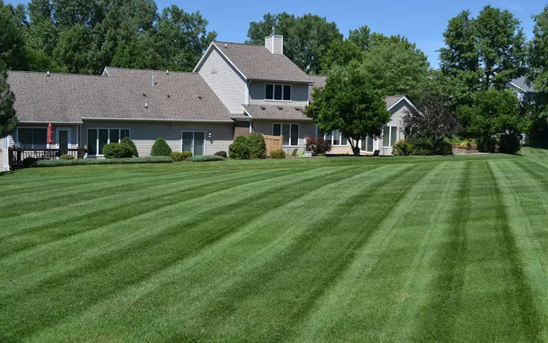 D's Lawn and Landscapes — Landscaper
