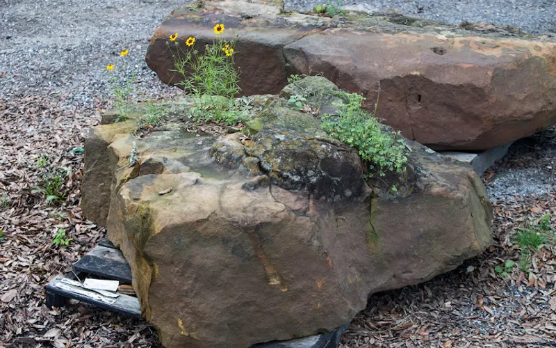Woerner Landscape — Landscaping supply store