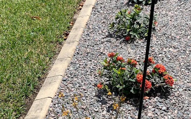 Curb Appeal Curbing — Landscape designer