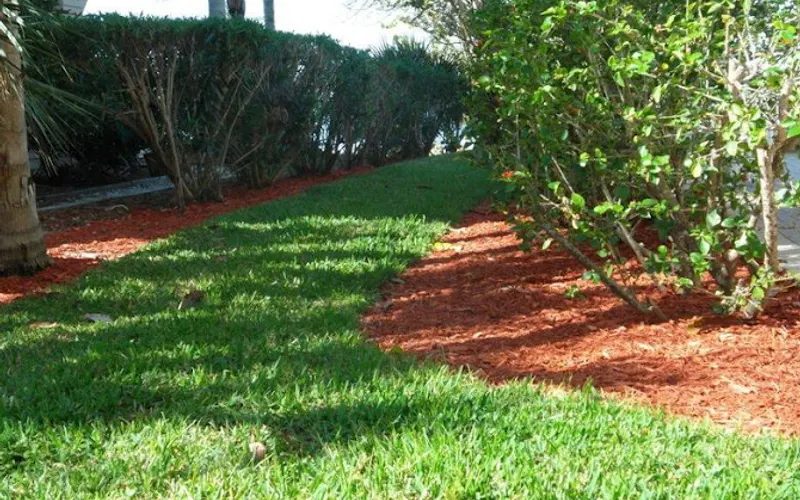 Tropical Gardens and Lawns Inc. — Landscaper