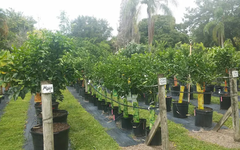 Gulf Breeze Garden Center — Garden center
