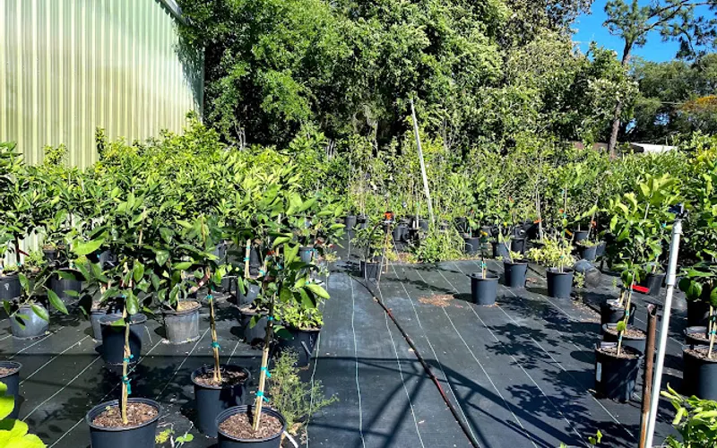 Jones & Hall Garden Center — Garden center