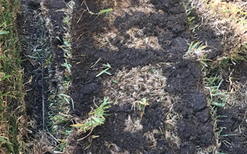 Sod Depot of Orlando — Landscaping supply store