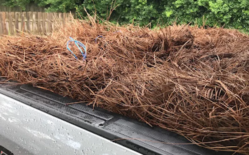 Sliman Pine Straw — Landscaping supply store