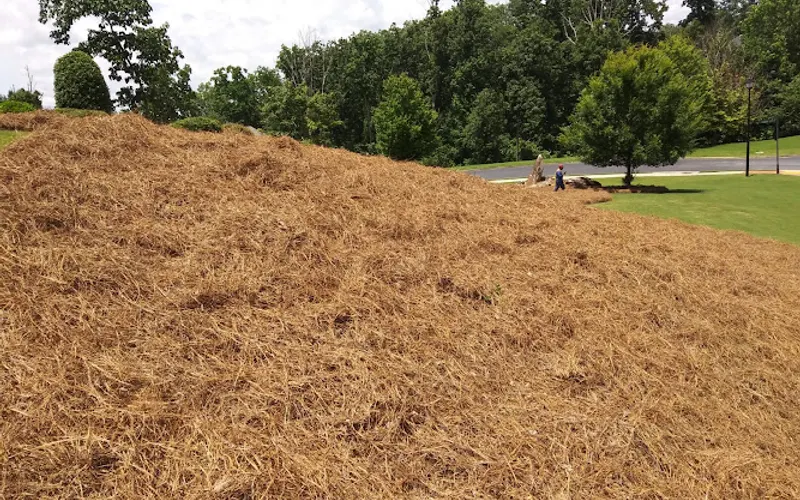 Morales Pine Straw — Mulch supplier