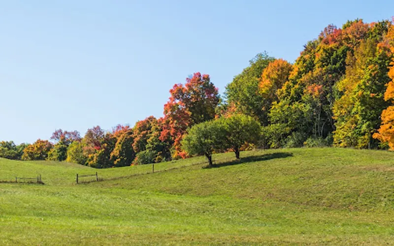 TOPO Industries — Mulch supplier