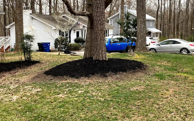 Health Turf Management Lawn Care — Lawn care service