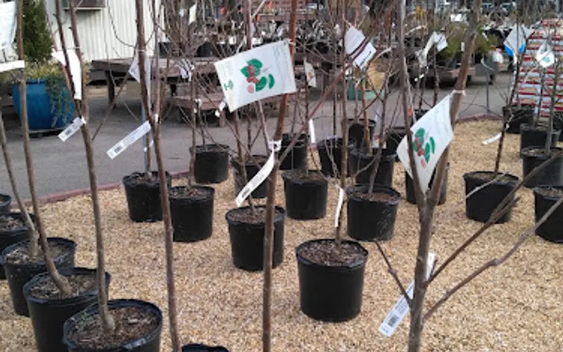 Logan's One Stop Garden Shop — Garden center