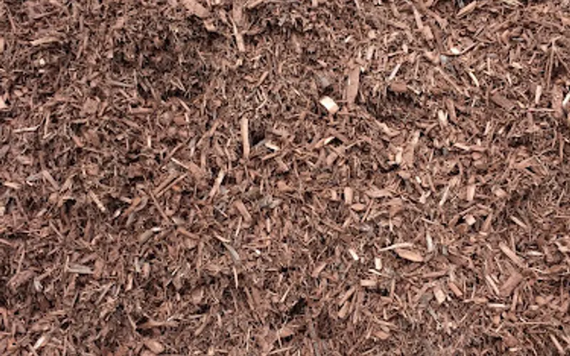 Page Road Garden Center — Landscaping supply store
