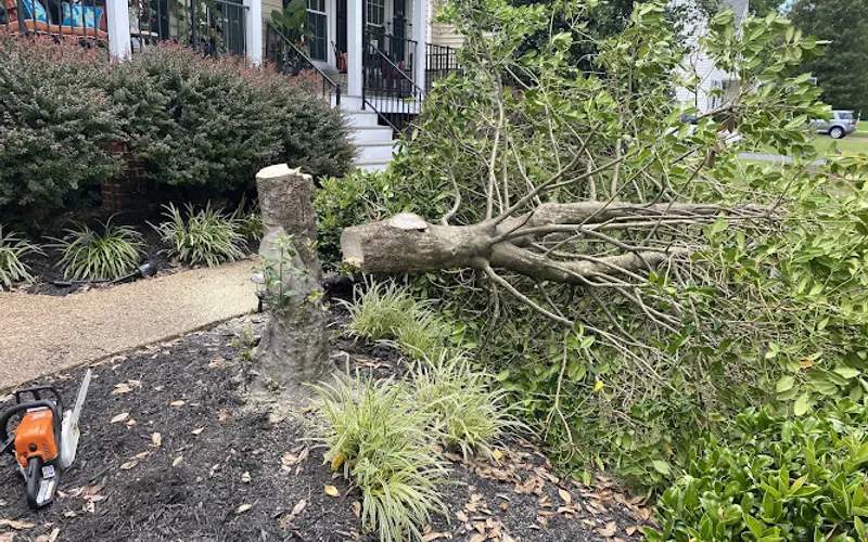 Landscape Science - Landscaping in Glen Allen VA — Lawn care service