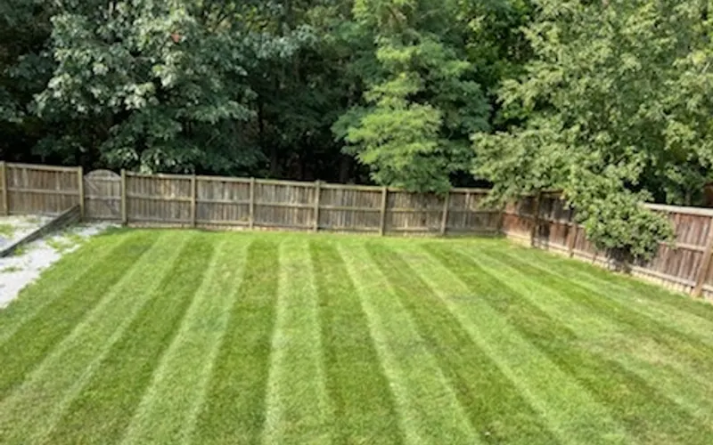 Hambleton Lawn & Landscape — Lawn care service