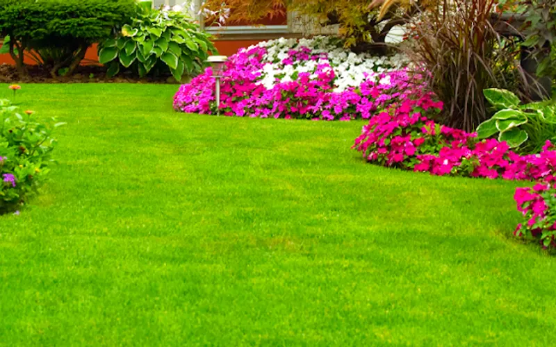 Green Zone Landscaping, Inc. — Landscaper