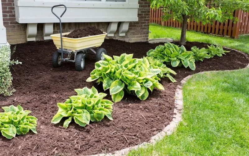 JK Enterprise Landscape Supply, LLC — Mulch supplier