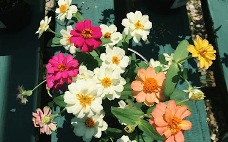 Arnold Farms — Garden center