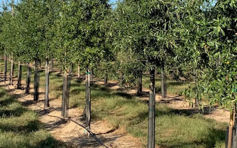 Wildflower Nursery — Mulch supplier