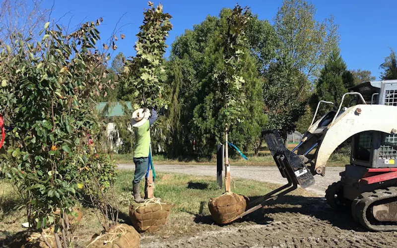 Unity Church Hill Nursery — Garden center