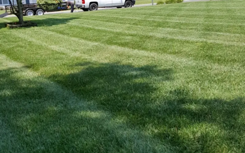 Hernandez Lawn Care — Landscape designer