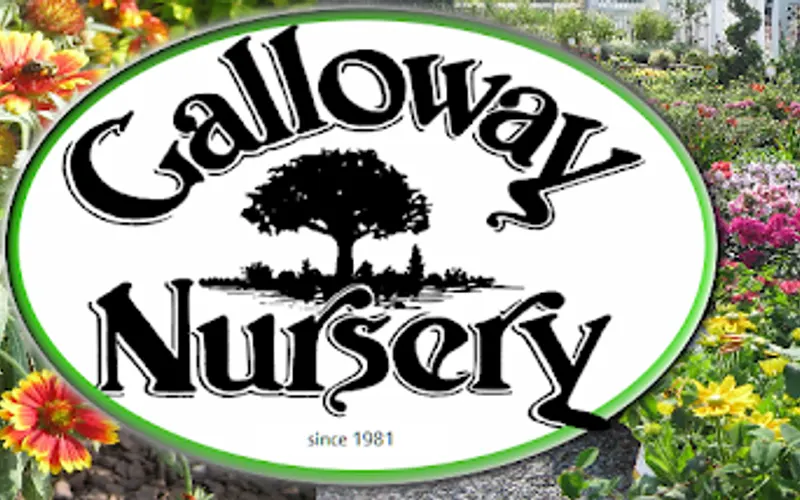 Galloway Nursery — Wholesale plant nursery