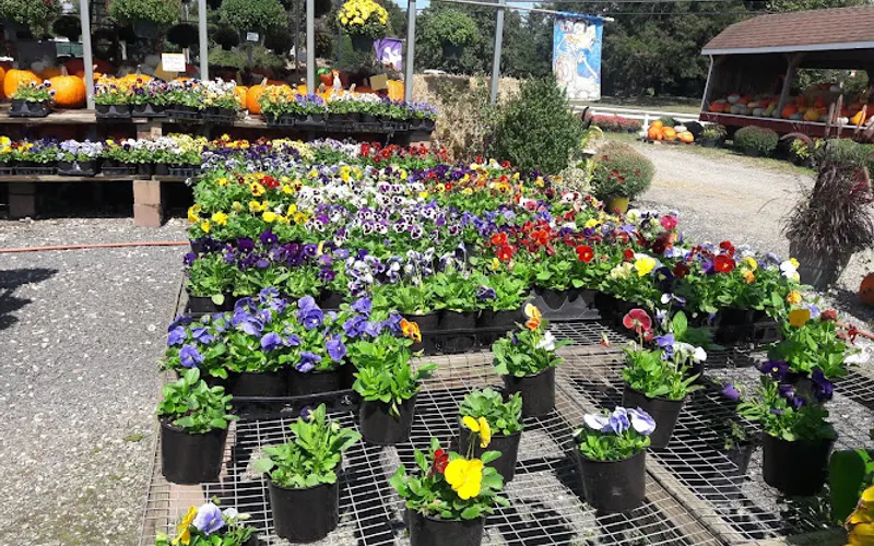 M & M Mulch — Mulch supplier
