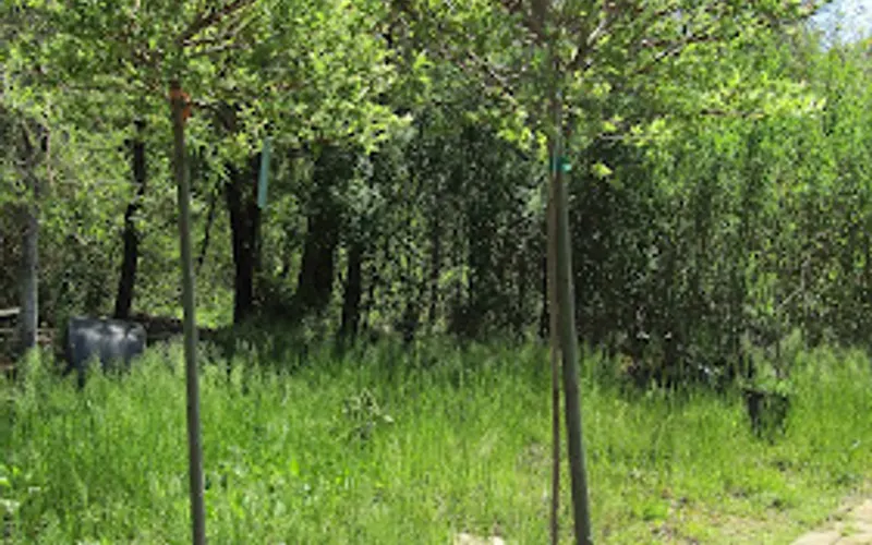 Capelli's — Landscaper