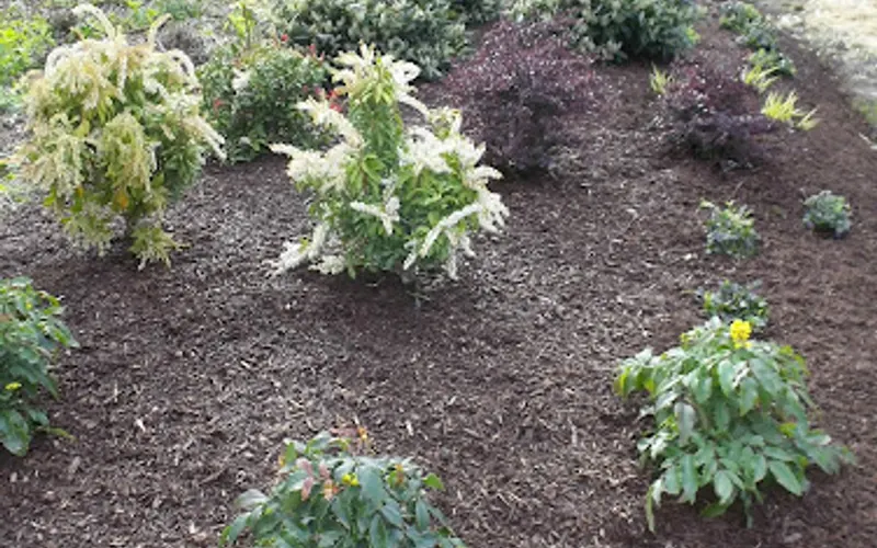 Gardens of the World, Garden Center and Outdoor Living Center — Garden center