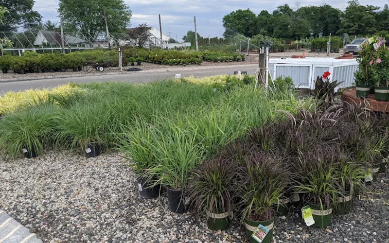 Barton Nursery — Plant nursery