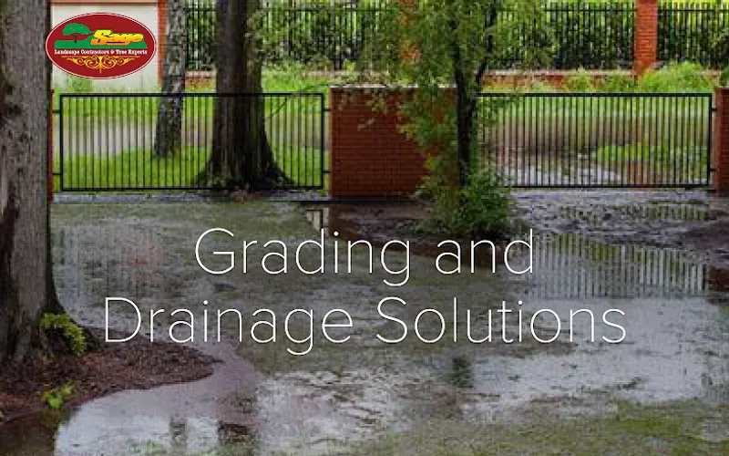 Sage Landscape Contractors and Tree Experts — Landscape designer