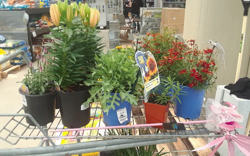 Esbenshade's Garden Centers & Greenhouse — Garden center