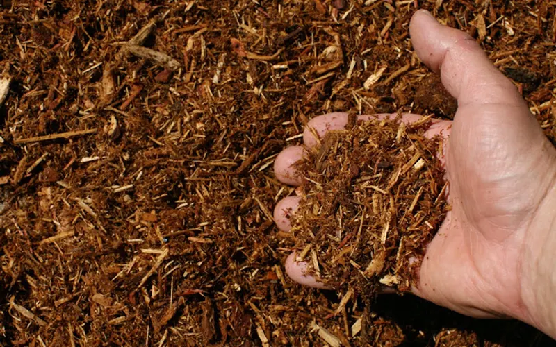 S Pancoast Topsoil & Mulches — Mulch supplier