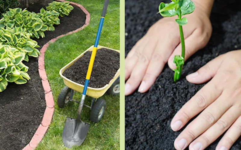 Mulch & More — Mulch supplier