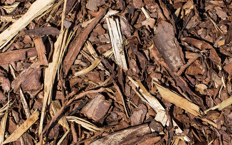 Magic Mulch Man — Mulch supplier
