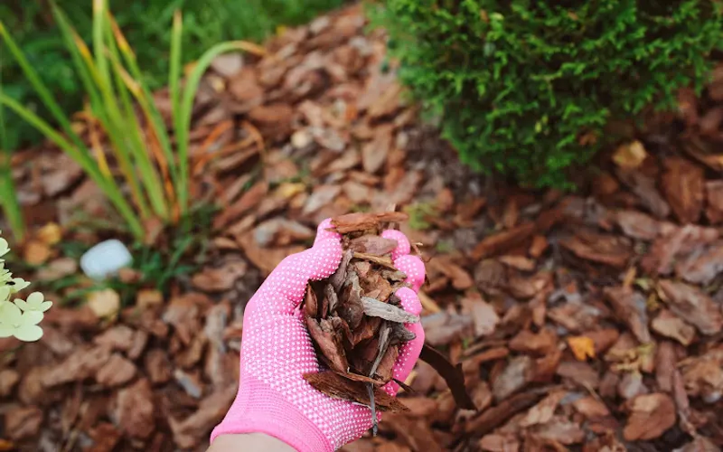 1-800-By-Mulch — Mulch supplier