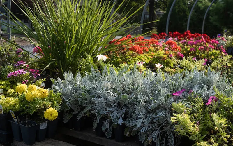 Harrisburg Gardens Inc -Topsoil-Mulch-Stone — Mulch supplier