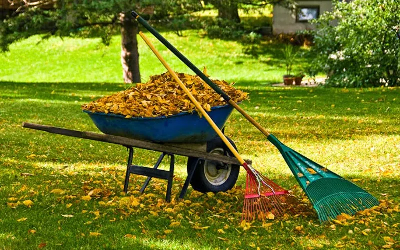 T&D Services — Landscaper