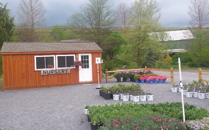 Cedar Springs Nursery — Plant nursery
