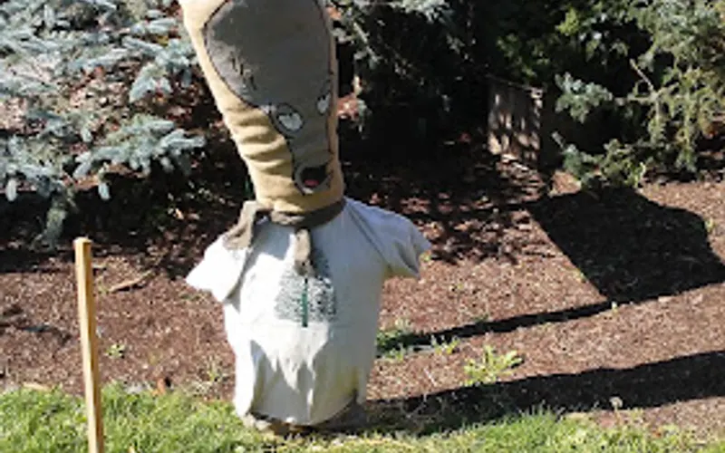 Cayuga Landscape Co — Landscaper
