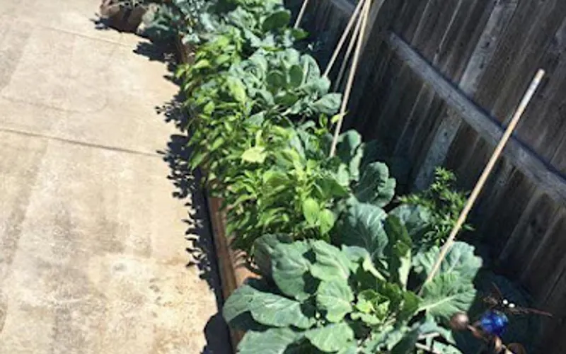 Fiorellas Landscaping | Garden Center | Snowplowing — Garden center