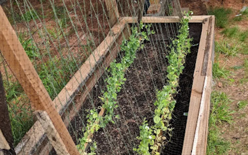 Devitt's Nursery & Supply — Garden center