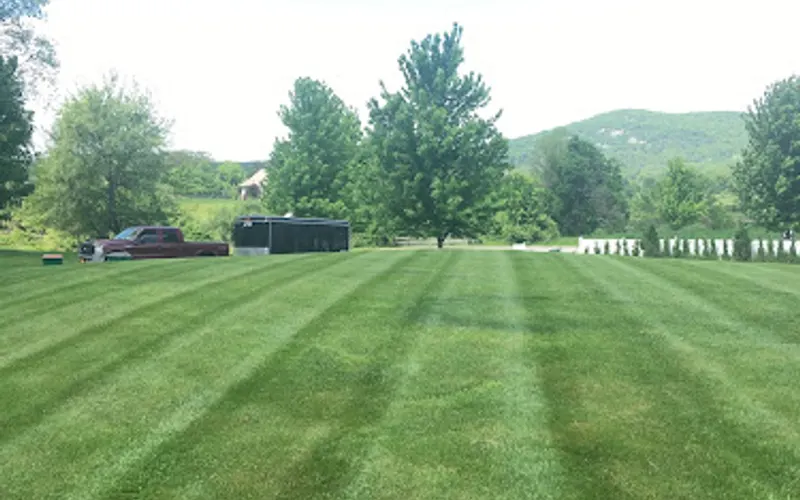JB Lawn and Landscaping LLC — Landscaper
