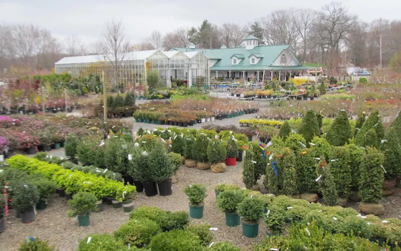 Weston Nurseries - Chelmsford (retail & wholesale location) — Garden center