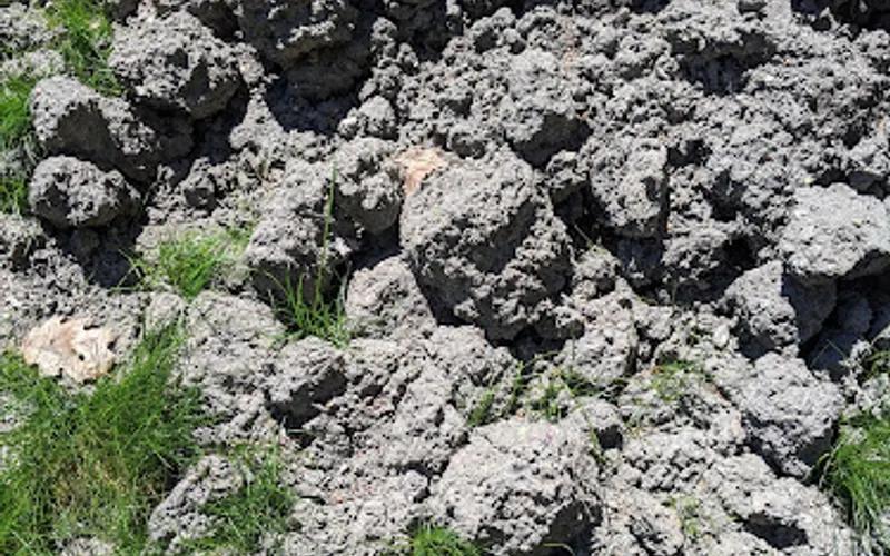 Massachusetts Natural Fertilizer — Topsoil supplier