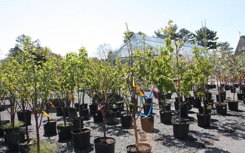 Weston Nurseries - Hopkinton Garden Center — Garden center