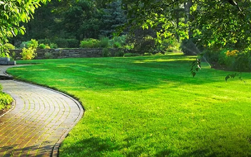 Nelson Landscaping & Garden Center — Landscaper