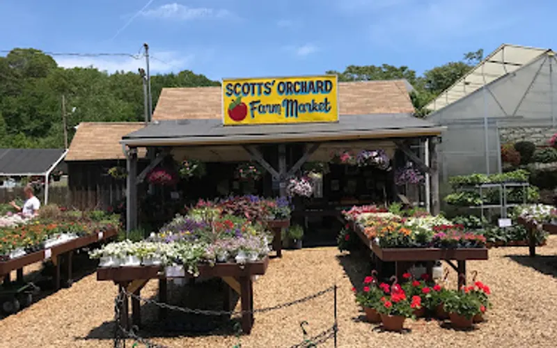 Scott's Farm Store — attractions