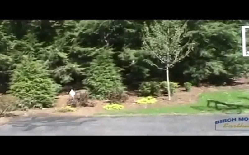Birch Mountain Earthworks Landscape Design & Materials — Landscape designer