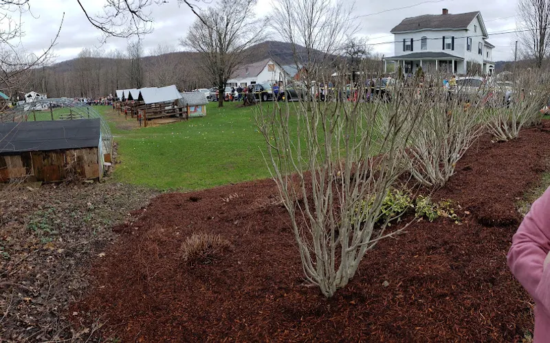 Whitney's Farm Market & Garden Center — Garden center