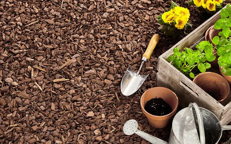 Mulch Pros LLC — Mulch supplier